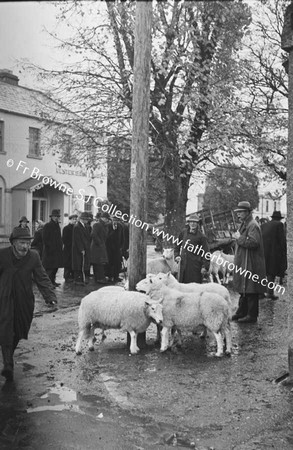 BLESSINGTON FAIR